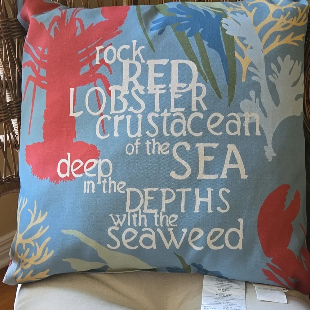 Pottery Barn Outdoor Pillow
